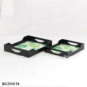 BG2510 54
